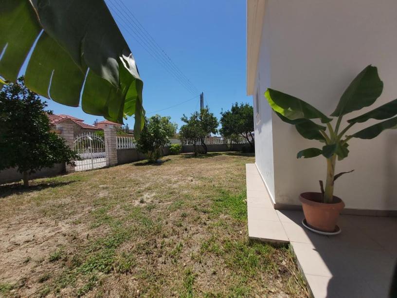 Konstantinos Apartments Аммудия Экстерьер фото
